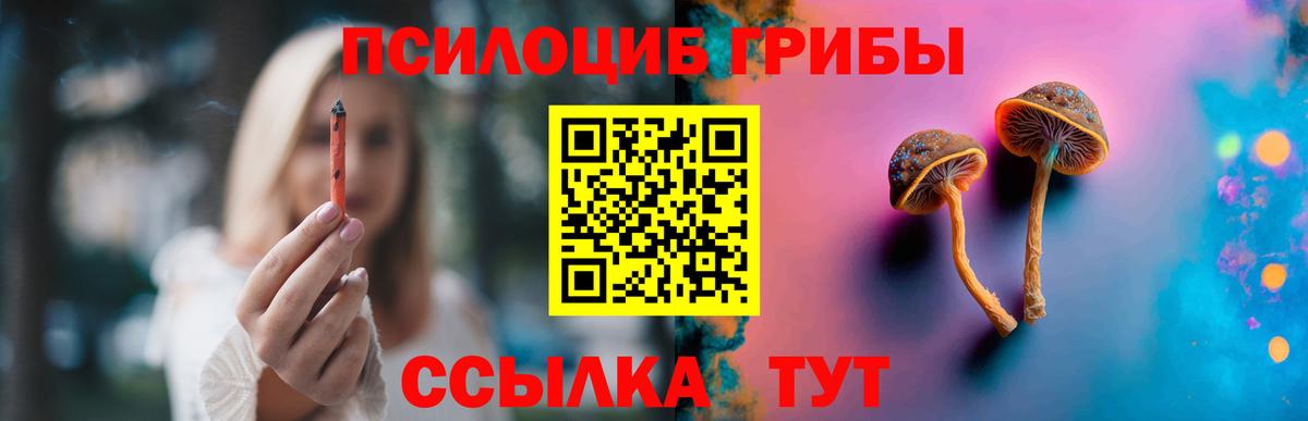 хочу   Вход с VPN  Пятигорск  Псилоцибиновые грибы прущие грибы 